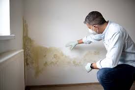 Best Biohazard Mold Removal  in Howe, TX